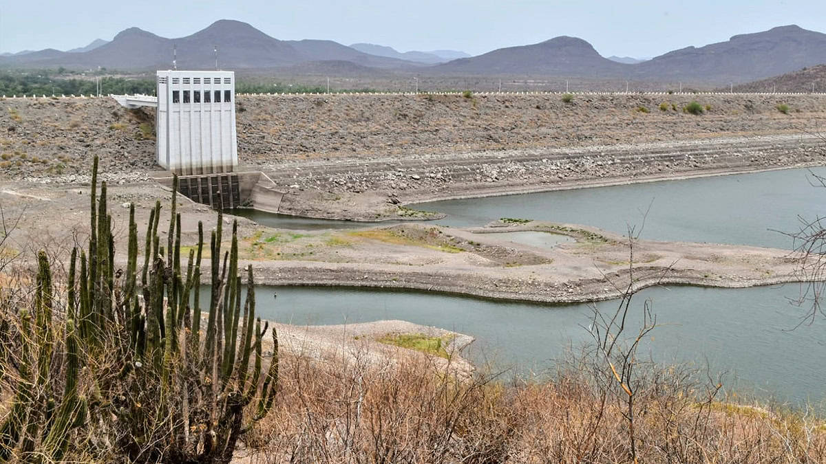 En riesgo 200 mil hectáreas en el VY