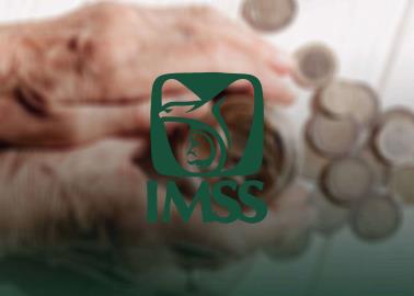 Pensión IMSS: ¿Quiénes pueden heredar el pago mensual? Estos son los requisitos