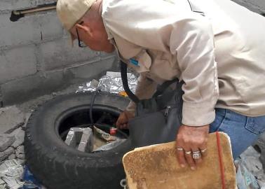 Lucha Navojoa contra el dengue