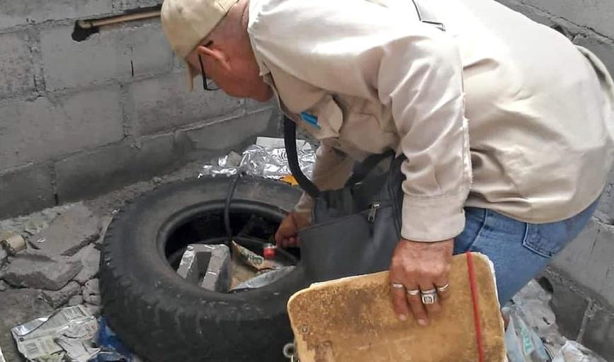 Lucha Navojoa contra el dengue