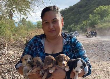 Álamos Dog celebra nueva Ley De Protección Animal en Sonora 