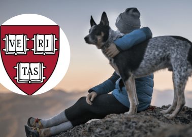 Las razones por las que tener un perro es beneficioso para la salud, según Harvard