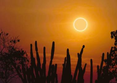 Eclipse Solar "Anillo de Fuego" ¿será visible en Sonora este mes de octubre?