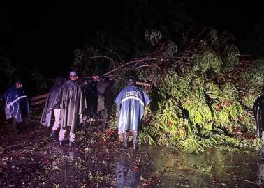 Huracán John deja 2 muertos en Guerrero tras su impacto