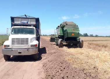 La crisis de los transportistas