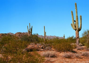 Los lugares que los turistas deben visitar de Sonora, según la inteligencia artificial