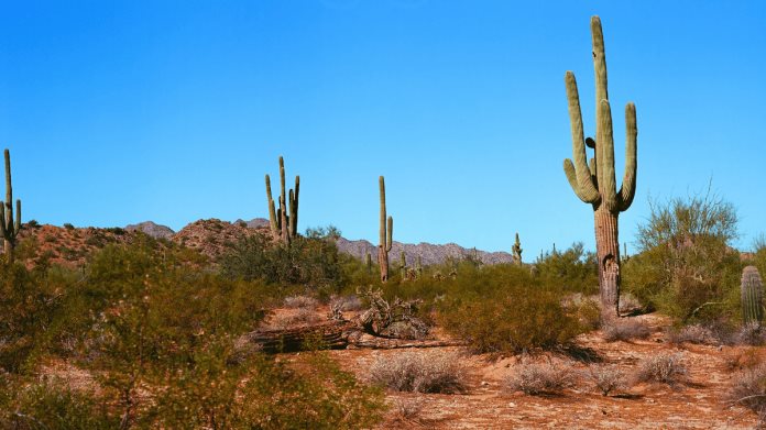 Los lugares que los turistas deben visitar de Sonora, según la inteligencia artificial Los lugares que los turistas deben visitar de Sonora, según la inteligencia artificial