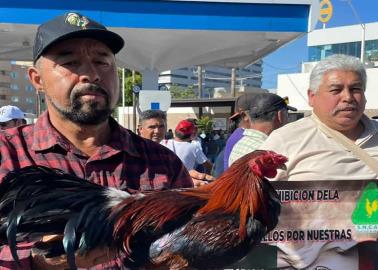 Harán modificaciones a Ley de Protección Animal en Sonora