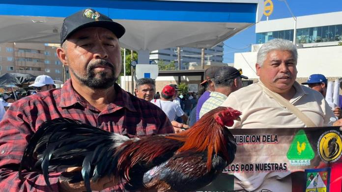 Harán modificaciones a Ley de Protección Animal en Sonora Harán modificaciones a Ley de Protección Animal en Sonora