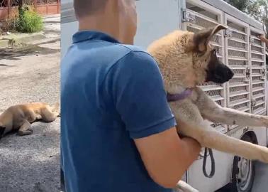 Detienen en Jalisco a mujer por arrastrar a perro con su camioneta