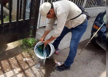 Refuerzan lucha contra el dengue