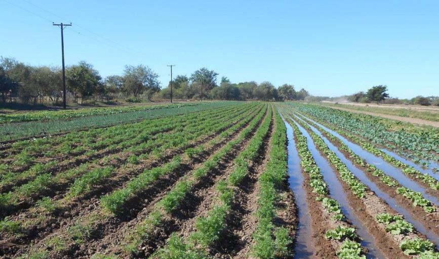 Agricultores sonorenses piden a Dios por las lluvias