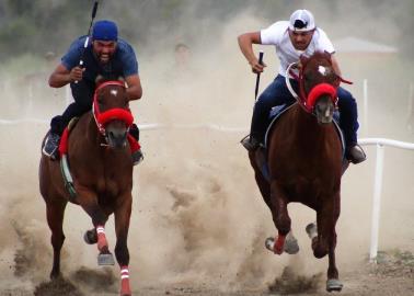 Ley de Protección y Bienestar Animal: Carreras de caballos continuarán en Sonora