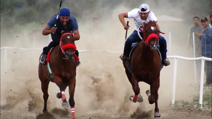 Ley de Protección y Bienestar Animal: Carreras de caballos continuarán en Sonora Ley de Protección y Bienestar Animal: Carreras de caballos continuarán en Sonora