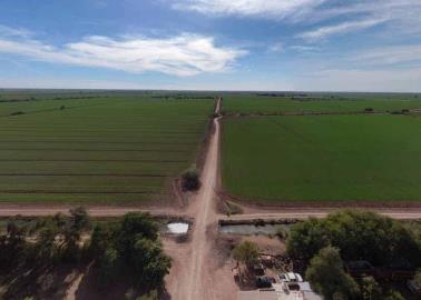 Distrito de Riego del Río Mayo confía en el nuevo gobierno de Claudia Sheinbaum