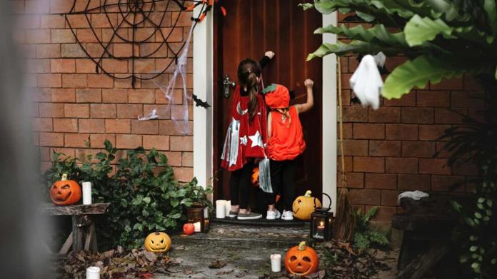 Halloween 2024: Ni telarañas,ni brujas; esta es la nueva tendencia en decoración Halloween 2024: Ni telarañas,ni brujas; esta es la nueva tendencia en decoración
