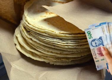 Cofece solicita cambios en producción del maíz; ¿cómo afectaría al precio de la tortilla?