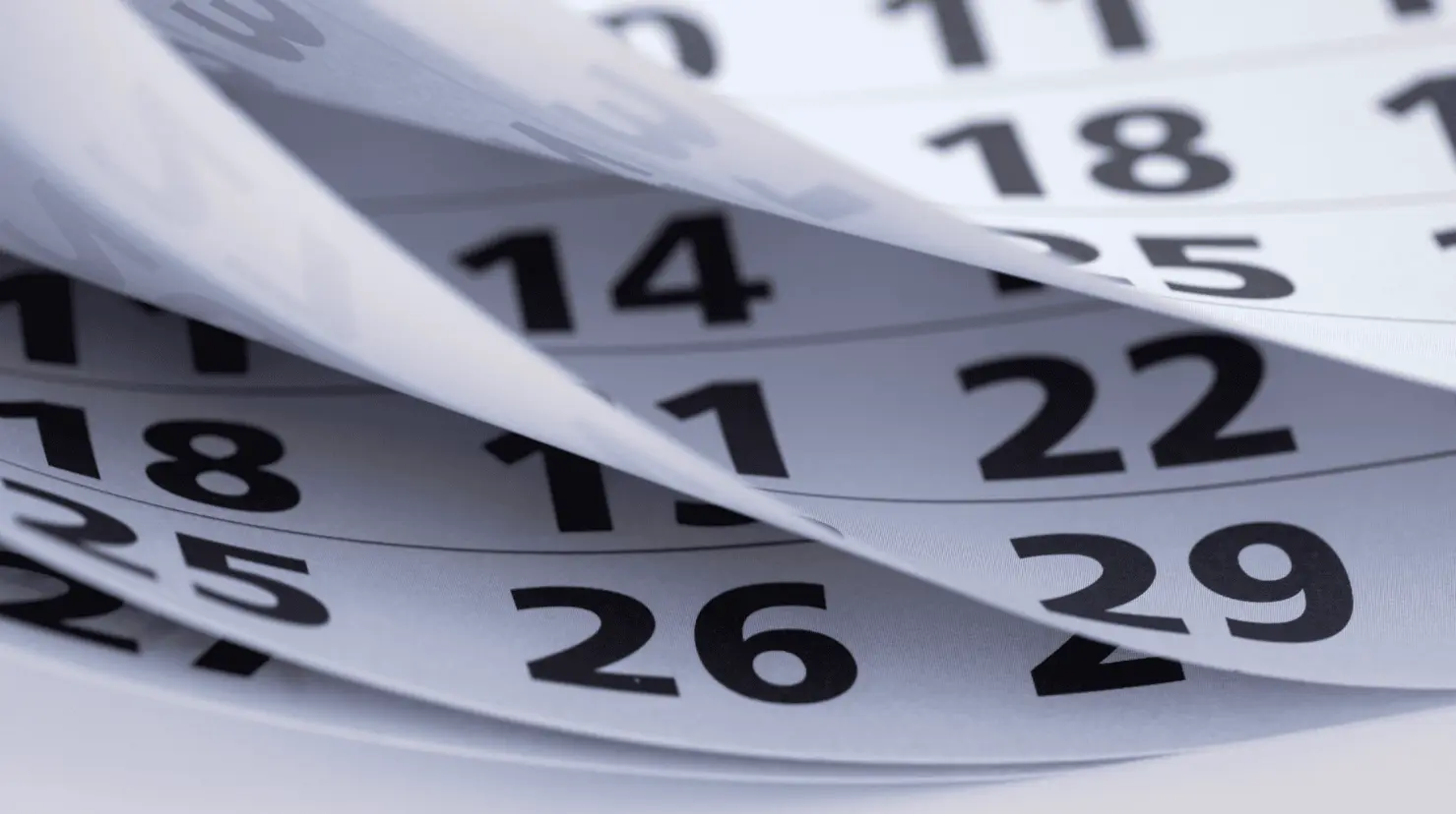 ¿Cuándo será el próximo día palíndromo?