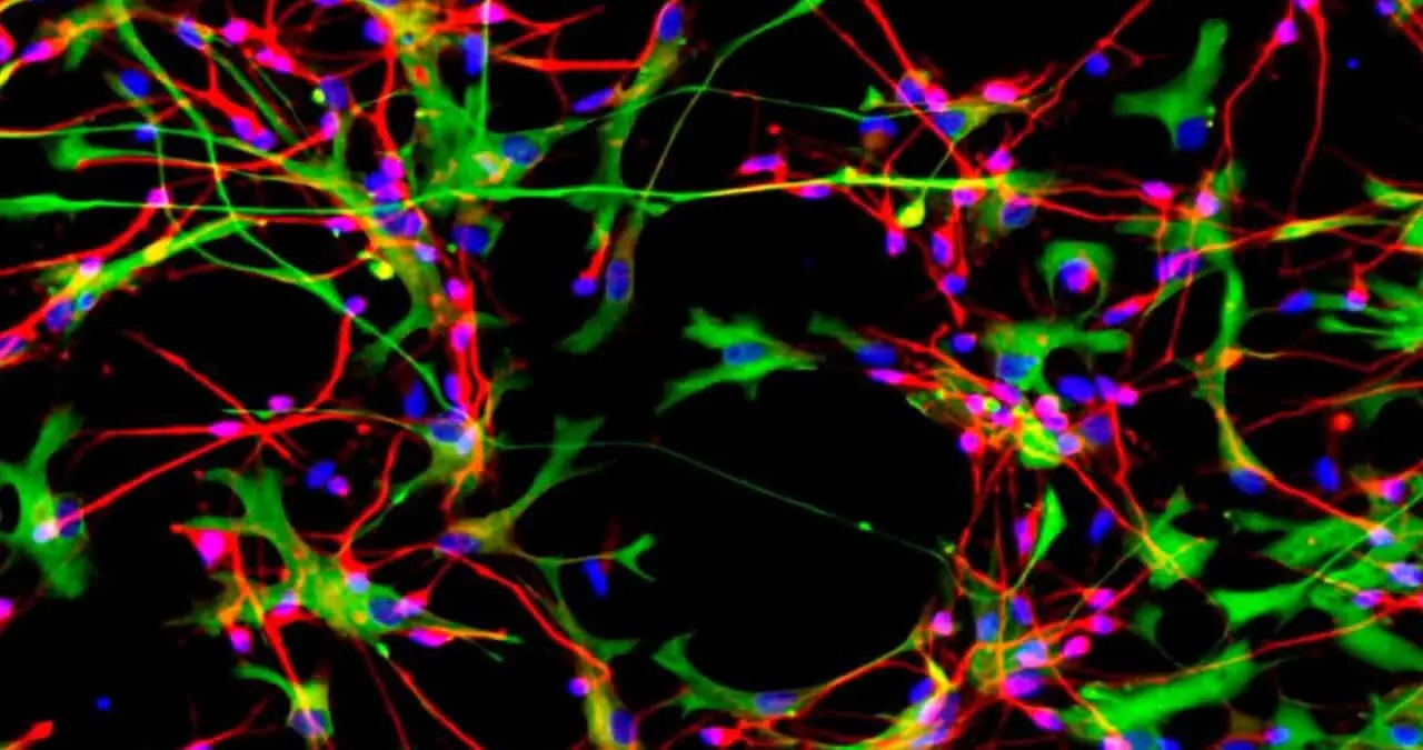 Este es el mapa más difícil de descifrar; científicos se unen para solucionar enigmas