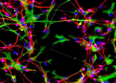 Este es el mapa más difícil de descifrar; científicos se unen para solucionar enigmas