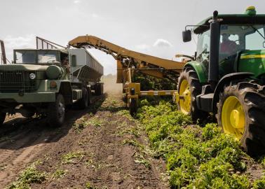 Agricultura alerta a productores por estos falsos apoyos que se anuncian en redes sociales