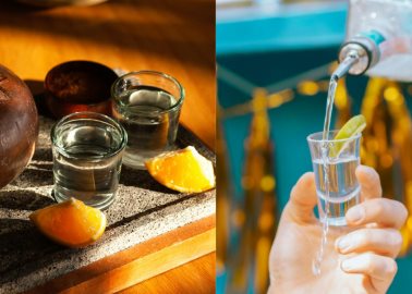 ¿Cuál es mejor, el tequila o el mezcal, según la inteligencia artificial?