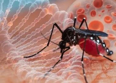 México reporta más de mil muertes por probable dengue