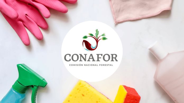 Conafor en su programa Proigualdad explica la importancia de delegar tareas del hogar Conafor en su programa Proigualdad explica la importancia de delegar tareas del hogar