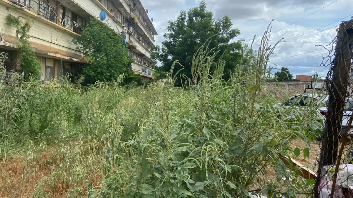 Pide alcalde sumarse a combatir el dengue