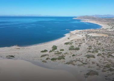 Esta playa de Sonora es única por sus imponentes dunas y un majestuoso bosque de sahuaros