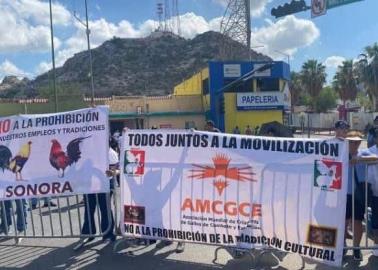 Ley de Protección y Bienestar Animal: Galleros preparan megamarcha en Hermosillo