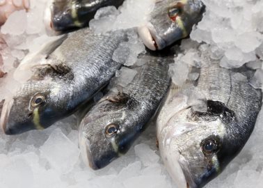 Casi nadie los compra pero estos pescados son una maravilla, según chef