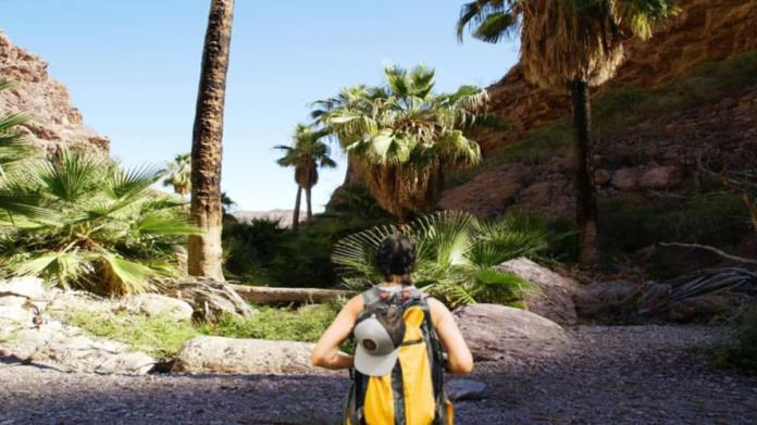 ¿Te apasiona el ecoturismo? Este lugar en Sonora es perfecto para estas actividades ¿Te apasiona el ecoturismo? Este lugar en Sonora es perfecto para estas actividades