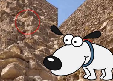 VIDEO | ¡Increíble! Captan a perrito en la cima de la Gran Pirámide de Giza