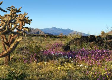 Estos son 4 de los destinos turísticos más visitados de Sonora