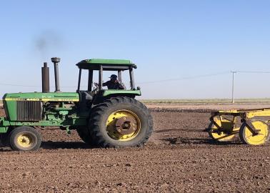 ¿Qué sectores se verán afectados por la disminución de siembras en este ciclo agrícola?