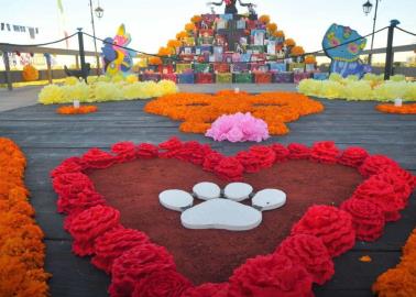 Día de Muertos 2024: Este es el día que llegan las mascotas, ¿Qué lleva su ofrenda?