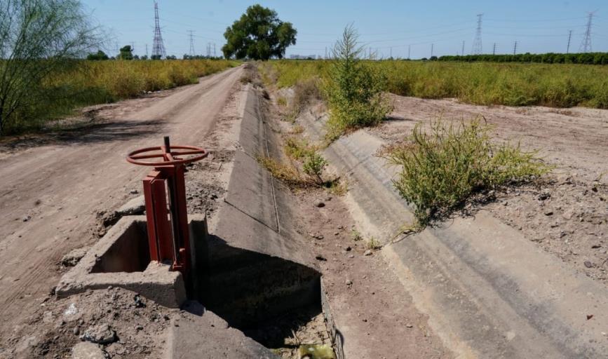 Maleza invade terrenos y canales del Valle del Yaqui