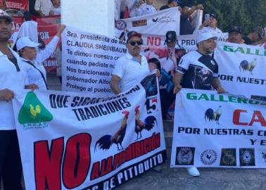 Diputados posponen prohibir peleas de gallos en Sonora