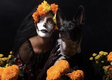 Día de Muertos: ¿Quiénes son las ánimas que llegan este 27 de octubre?