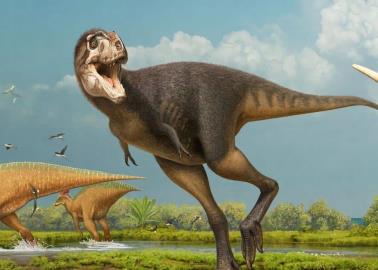 ¿Nueva especie de tiranosaurio descubierta? Conoce al Labocania aguillonae