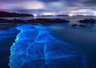 ¿Bioluminiscencia en Sonora? En estas playas podrás disfrutar de este hermoso espectáculo visual