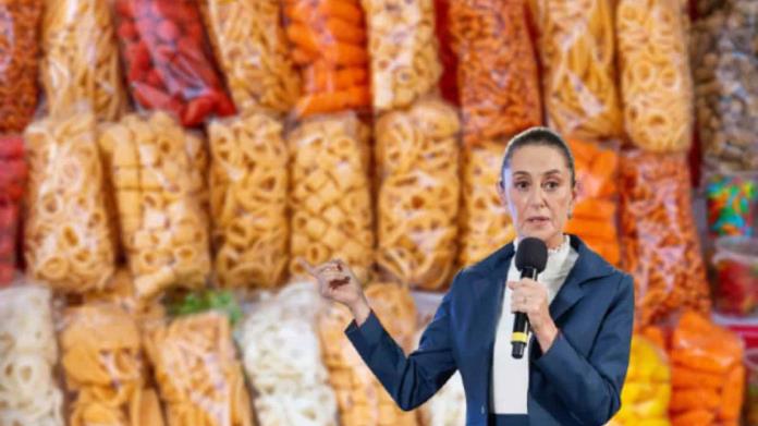 Claudia Sheinbaum da a conocer los alimentos que se podrán vender en las escuelas Claudia Sheinbaum da a conocer los alimentos que se podrán vender en las escuelas