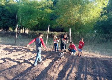 Familias de escasos recursos de Cajeme cultivarán sus propios alimentos