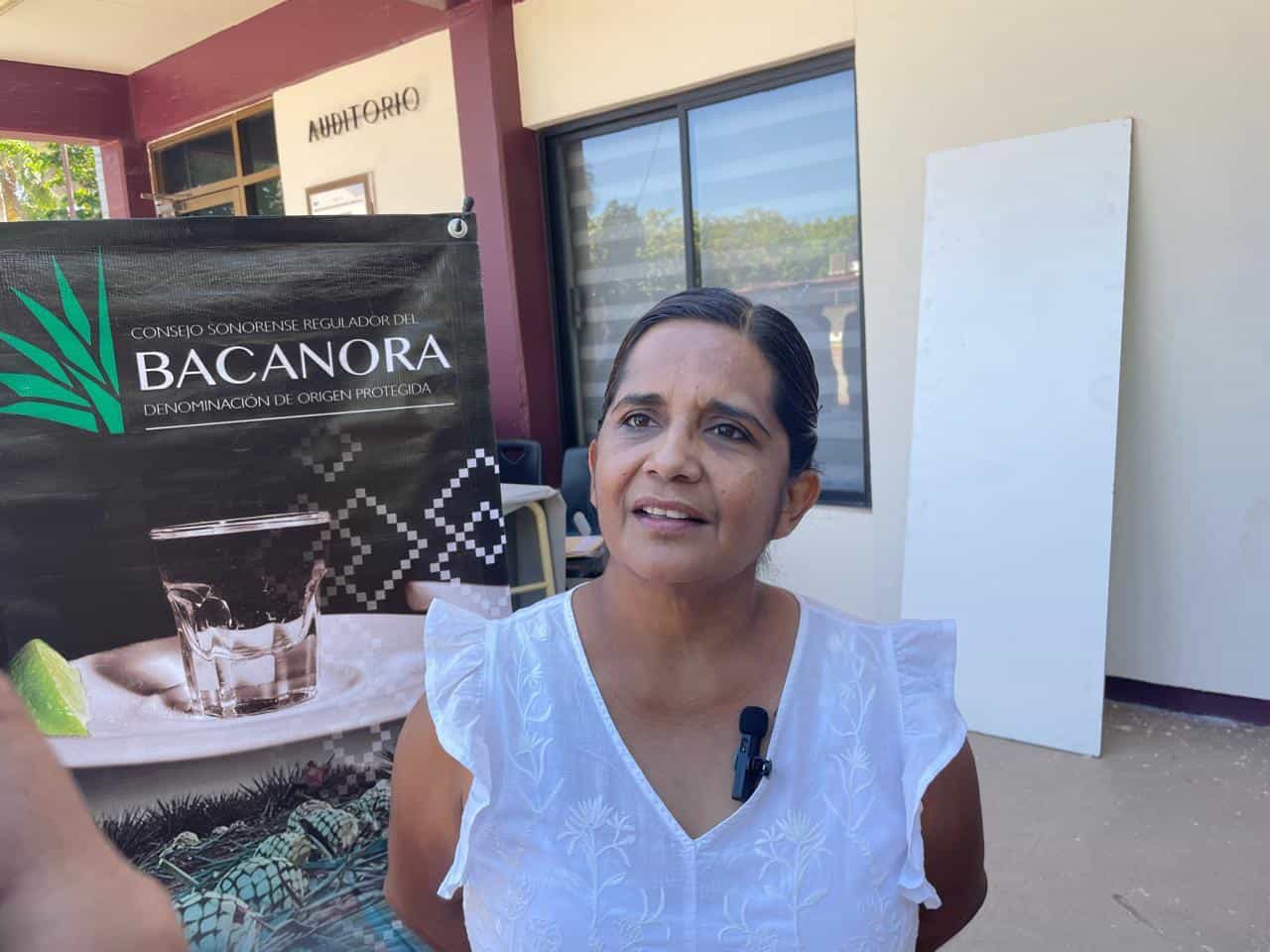 Bacanora, el sabor de Sonora