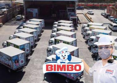 Bimbo ofrece vacantes con salarios de hasta 25 mil pesos mensuales