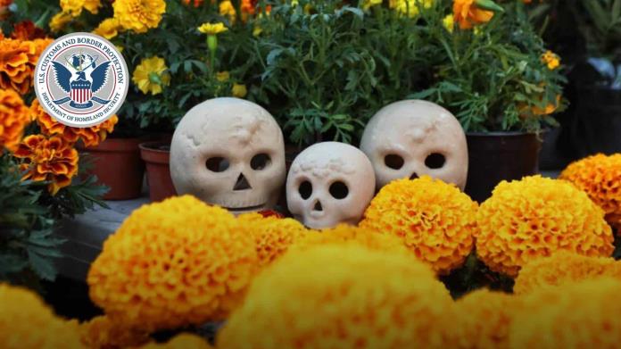 Día de Muertos: ¿puedo cruzar la flor de cempasúchil a Estados Unidos por los puentes internacionales? Día de Muertos: ¿puedo cruzar la flor de cempasúchil a Estados Unidos por los puentes internacionales?