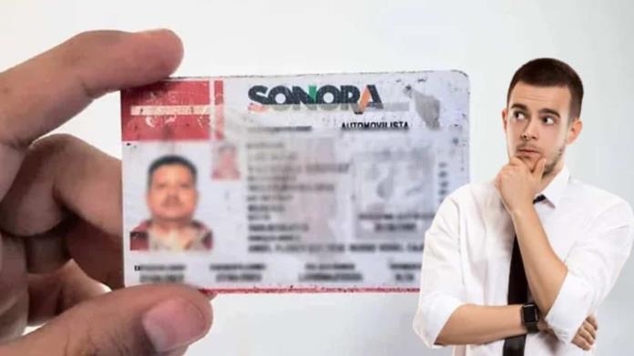 Licencia de conducir en Sonora: ¿Cuáles son los requisitos para tramitarla en noviembre 2024? Licencia de conducir en Sonora: ¿Cuáles son los requisitos para tramitarla en noviembre 2024?