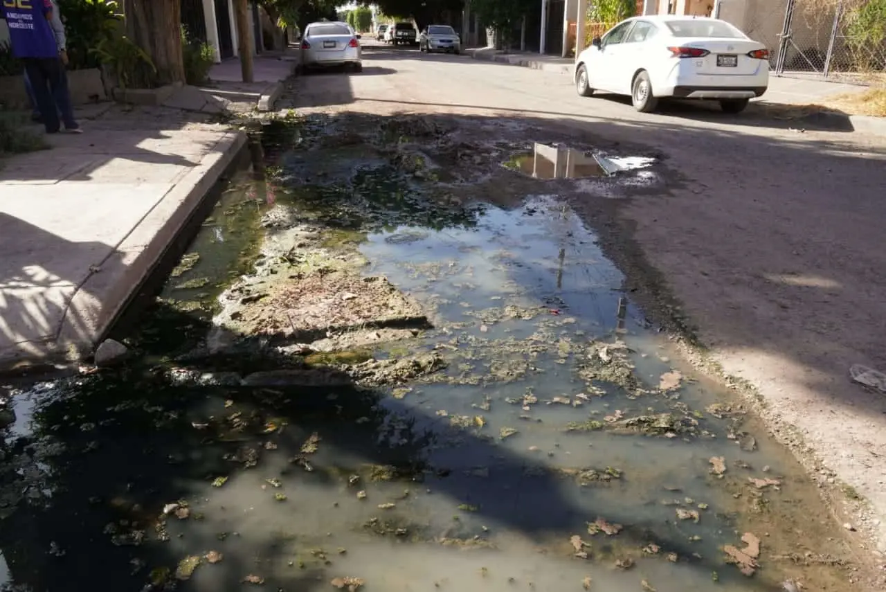 Cajeme: Vecinos de Cortinas no toleran vivir entre aguas negras