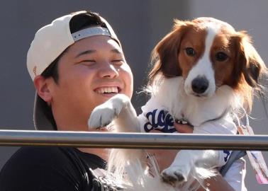 Decoy, el perro de Shohei Ohtani, conquista el desfile de campeones de los Dodgers